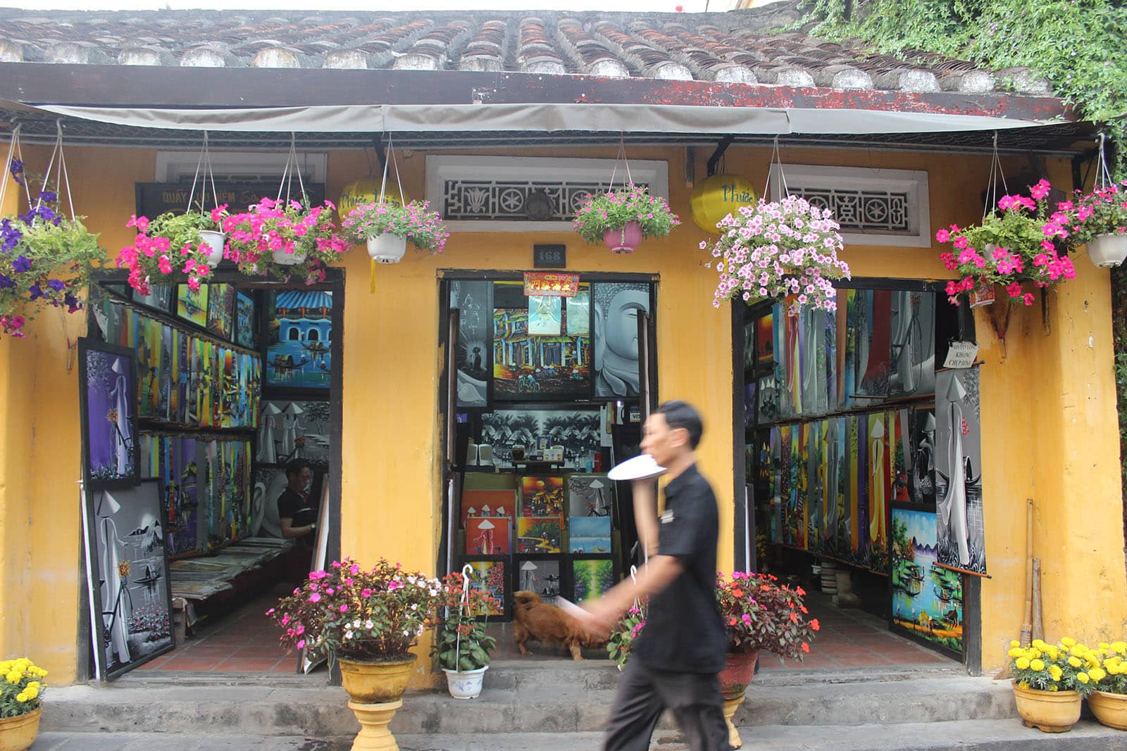 hoi an old quarter